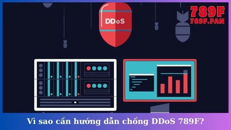 Vì sao cần hướng dẫn chống DDoS 789F?