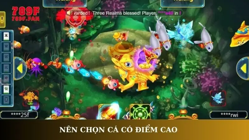 Nên chọn cá có điểm cao